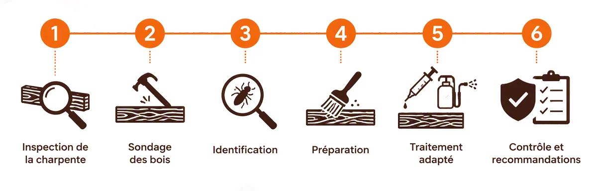 Les-6-étapes-d_un-traitement-de-charpente-–-Rénovéa-Habitat (1) les 6 étapes du traitement curatif ou préventif de charpente avec Rénovéa Habitat